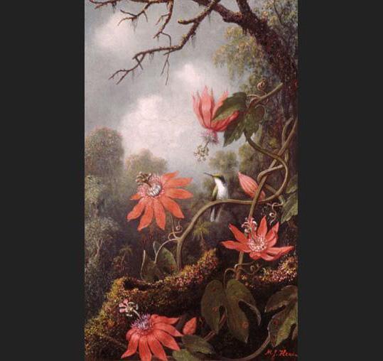 Martin Johnson Heade Famous Paintings page 2